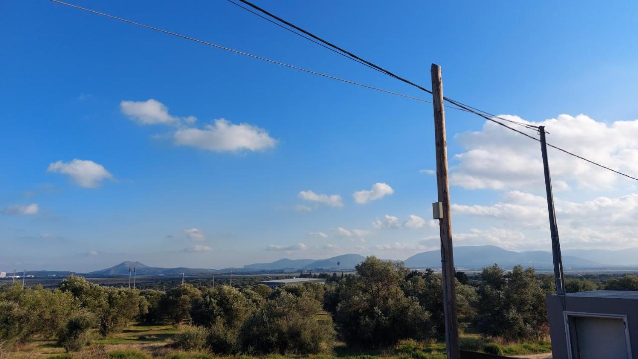 Makarios Apartment Near Athens Aiport Spáta 外观 照片